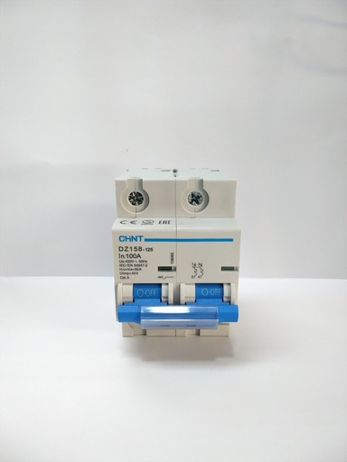 [2620] Térmico Bipolar 100A de 6Ka Industrial Dz158-125. Plomo, CHINT
