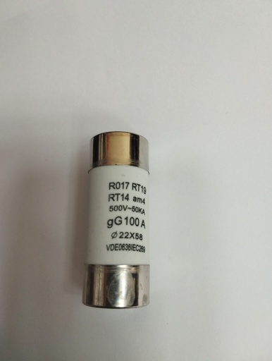 [219] Fusible De Medidor 100A 500W   Plomo GENERICO
