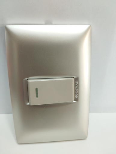 [2824] Toma completa interruptor simple (Champagne, Osmar)