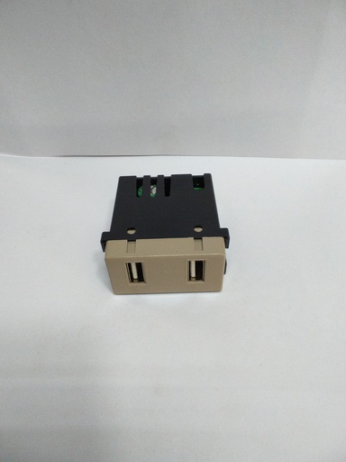 [2941] Modulo Eléctrico Modulo Usb 2 Vias     BEIGE OSMAR