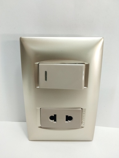 [2888] Toma mixta doble interruptor + modulo sin polo a tierra (Champagne, Osmar)